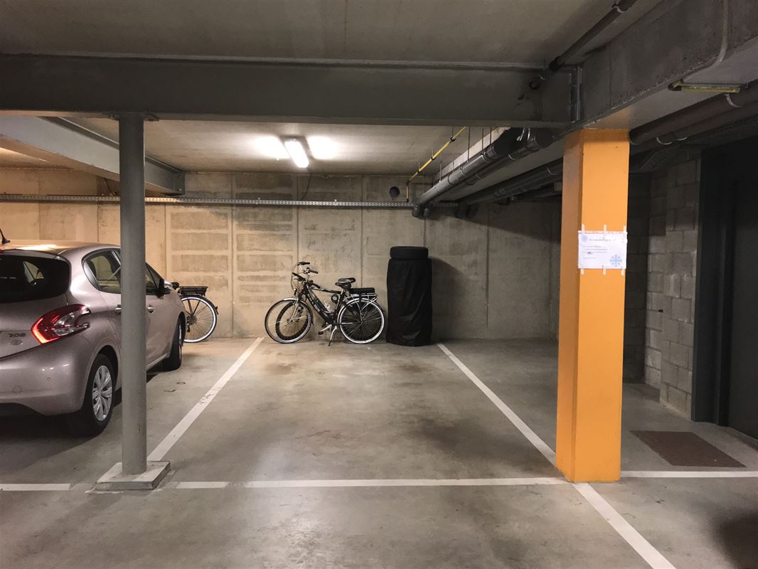 E3639086601012237746_4385PL